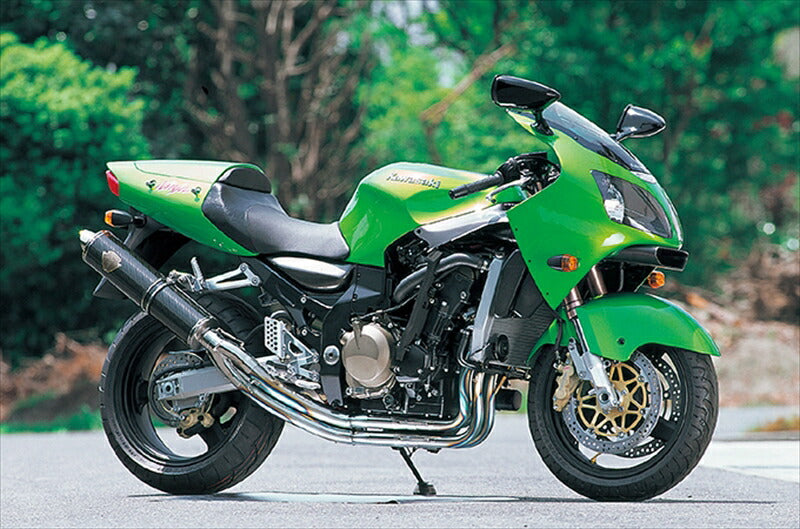 アールズギア アールズギア ワイバン シングル カーボン ZX-12R WK04