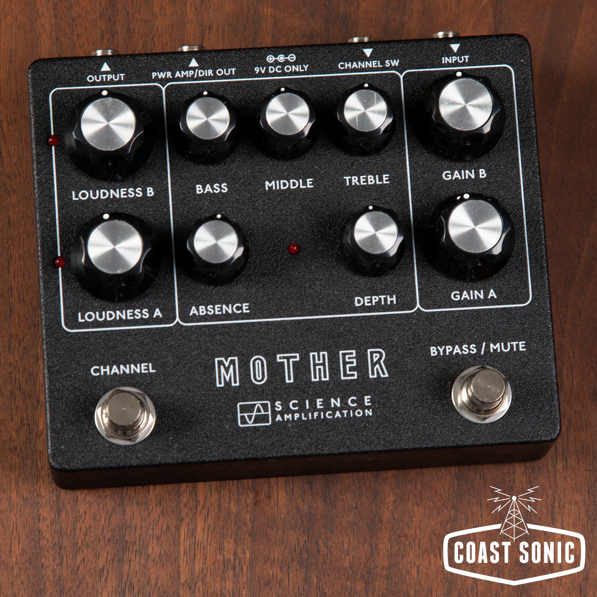 Electronic Audio Experiments / Science Amps Mother Preamp