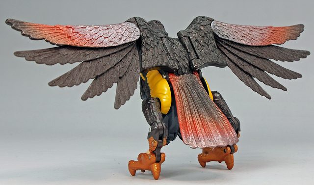TOBIAS_HAWK_16.jpg