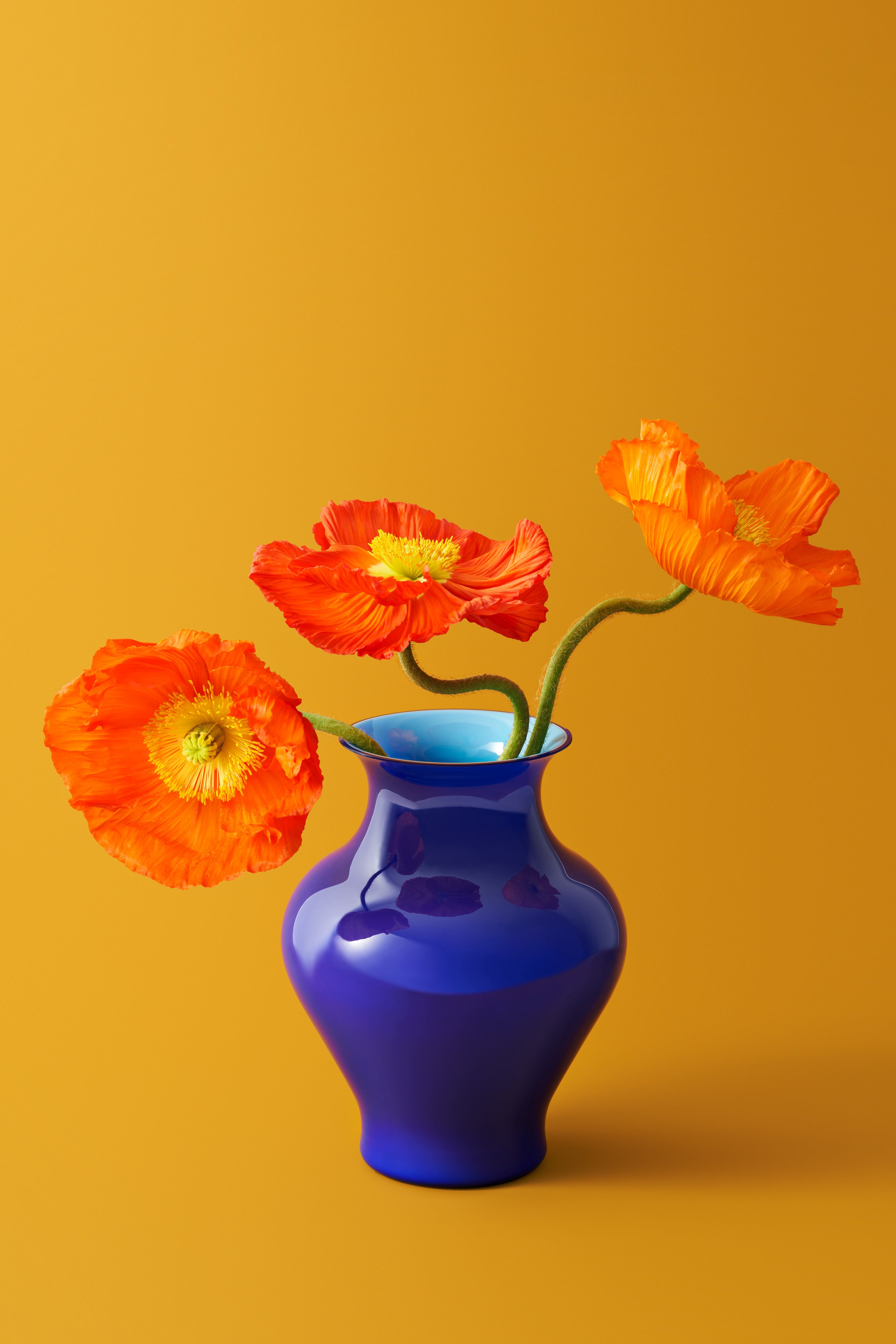 Cobalt Murano Vase – Espelma