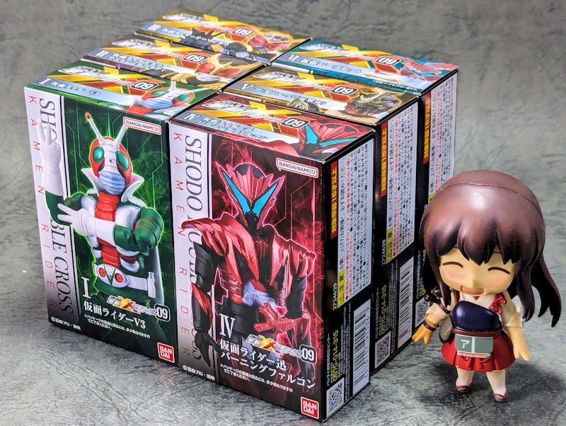 玩栗犬と、掌動-XX 仮面ライダー9 その2（仮面ライダーV3編） | 玩栗犬