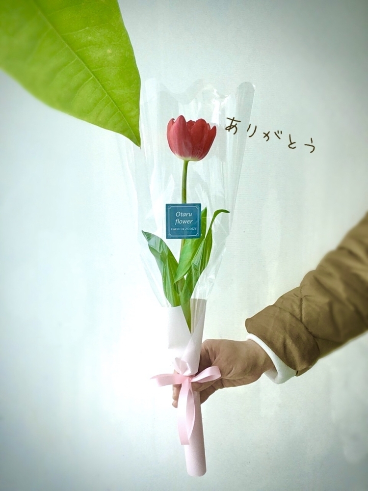 モールフラワー【がね〜しゃ様専用】チューリップの花束,一輪ブーケ