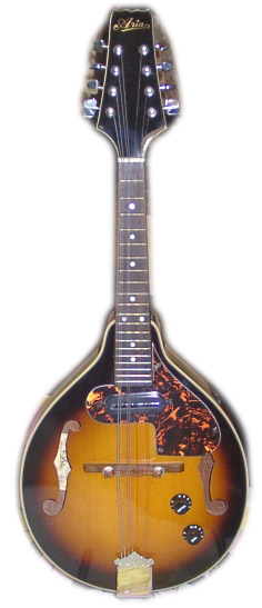 ARIA FlatMandolin AM-200E