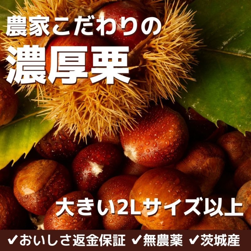 2025シーズン到来】農家こだわりの「濃厚栗」大きめ2Lサイズ以上 – NIG