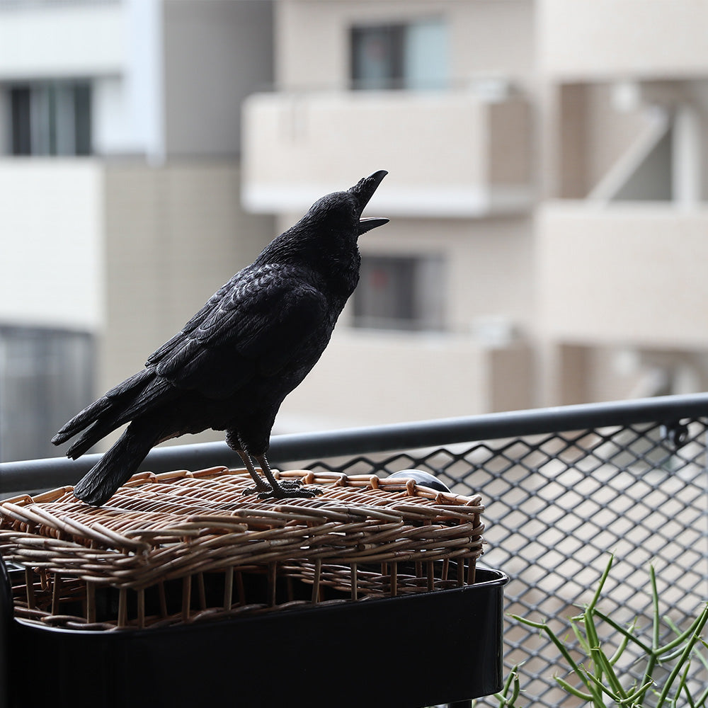ハシブトガラスのお役立ち貯金箱 PET BANK JUNGLE CROW（ペットバンク
