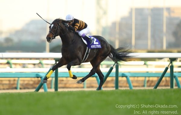 第62回有馬記念 武豊騎乗・キタサンブラック優勝 – The 岡田修平