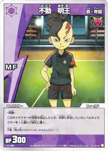 イナズマイレブン トレーディングカードゲーム(123枚)
