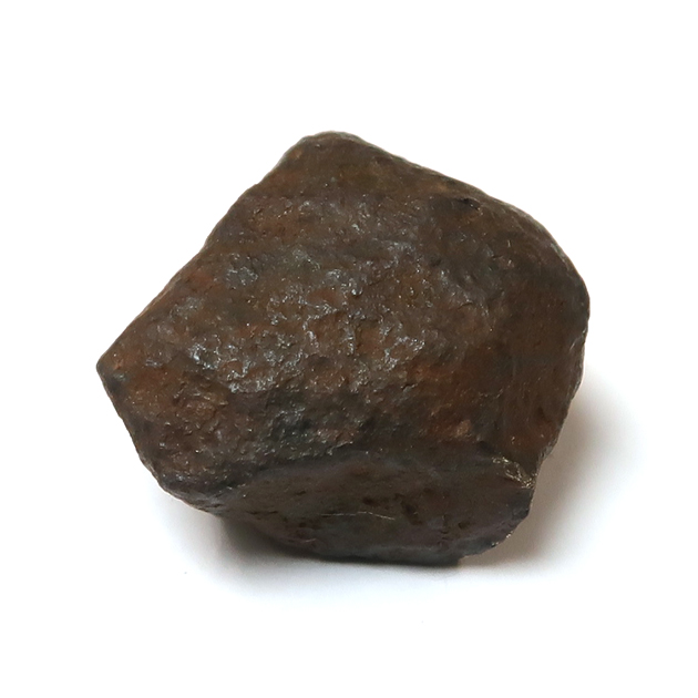 Mus-SQ033_2.JPG