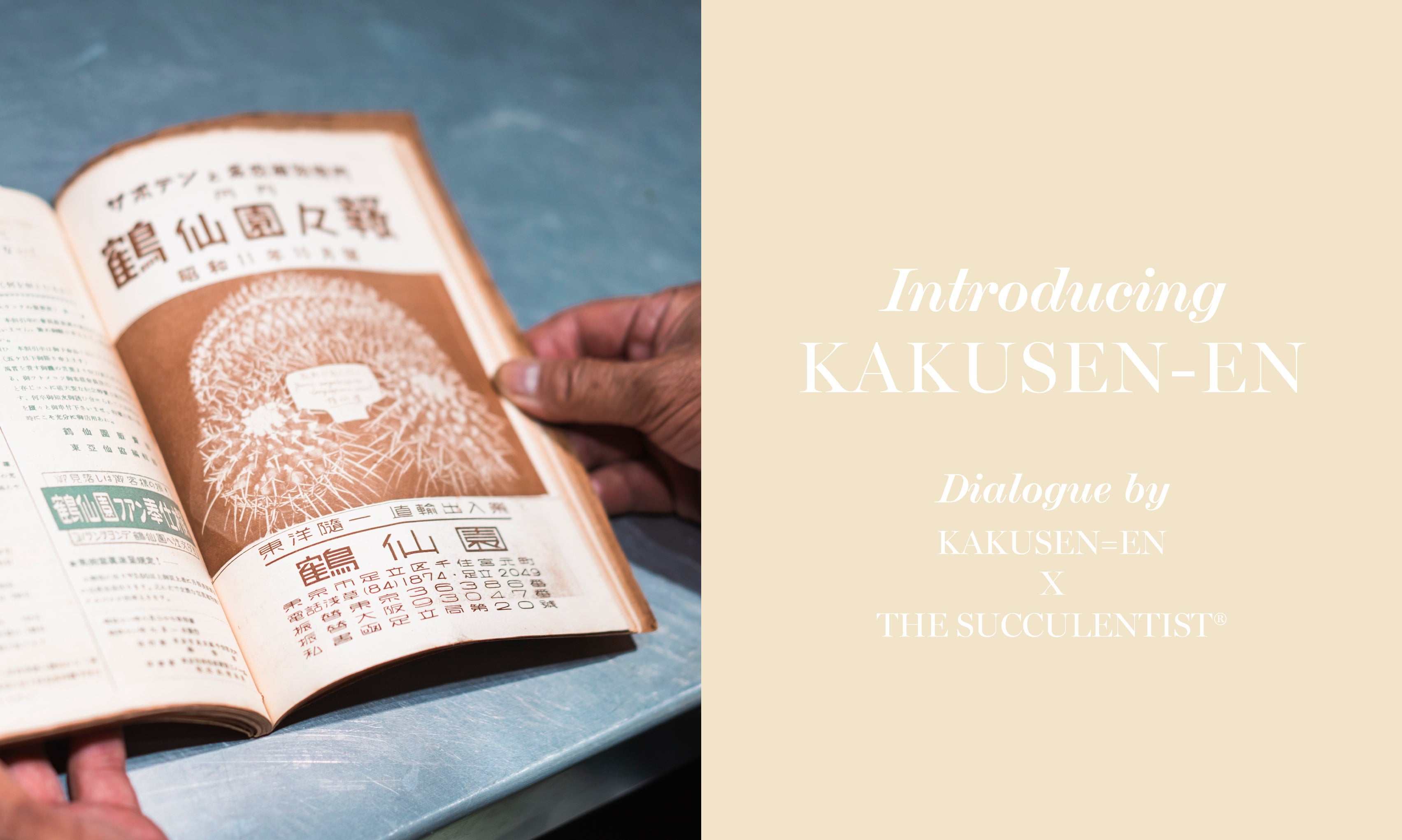 Features | INTRODUCING : KAKUSEN-EN｜【公式通販 UNION TOKYO
