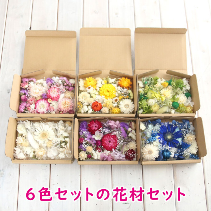 全6色セット ドライフラワー プリザーブドフラワー 花材詰め合わせ