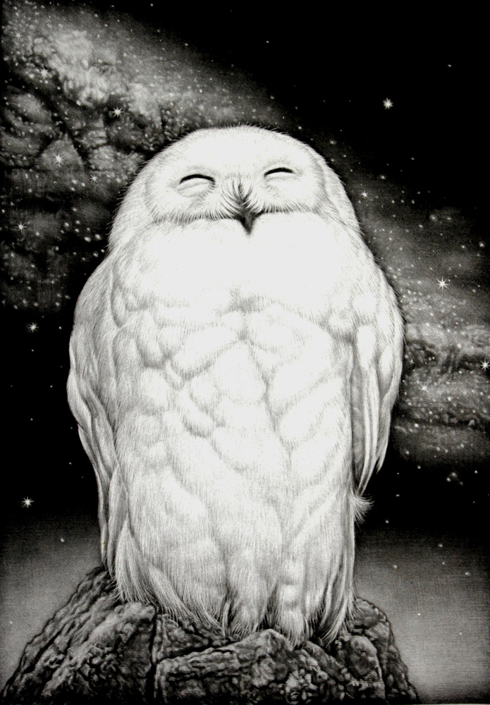 生田宏司銅版画（メゾチント）展