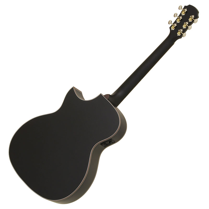 Aria-101CE MTBK | Aria-101 -Auditorium- | Products | ARIA 荒井貿易