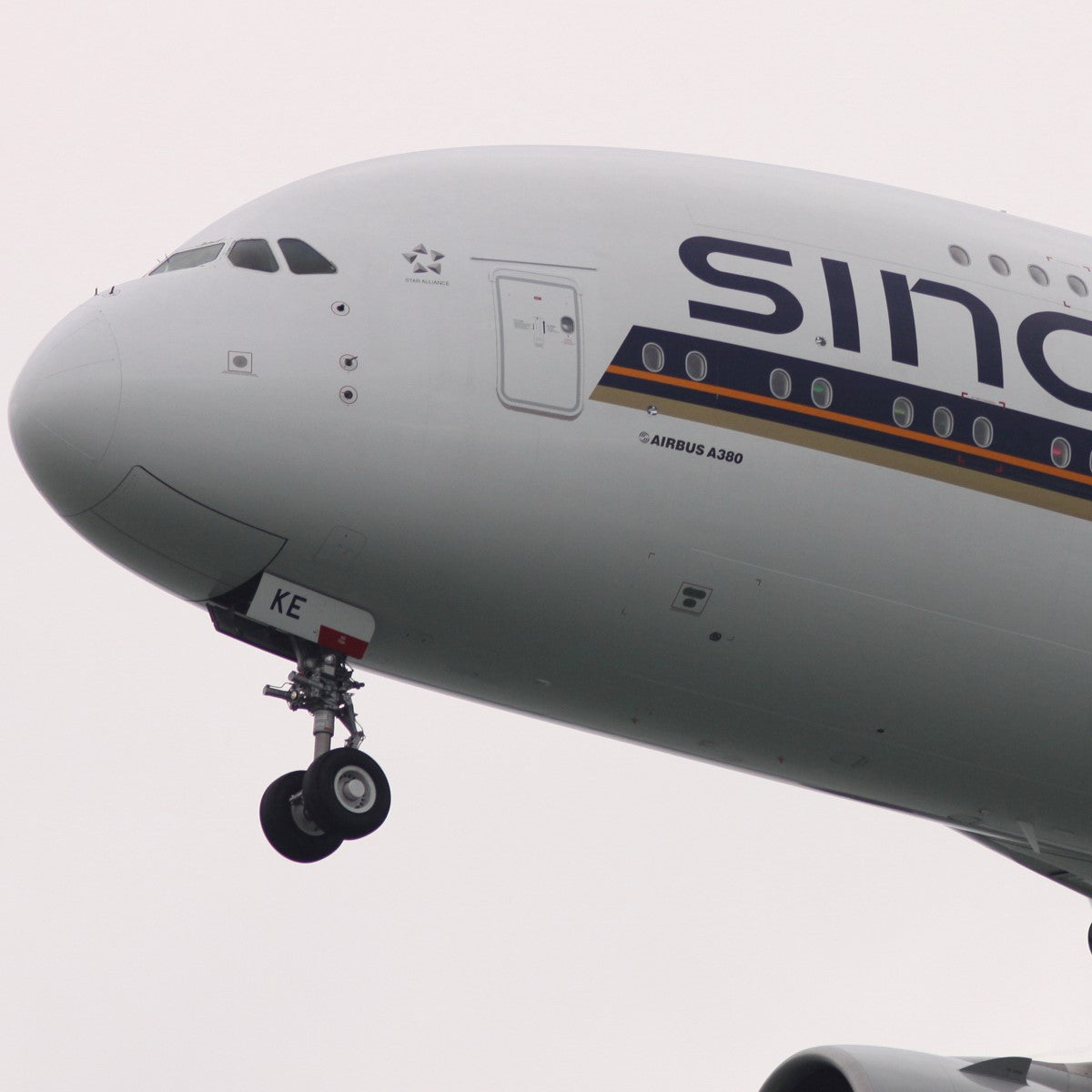 The GIANT is back! – Aviationtag