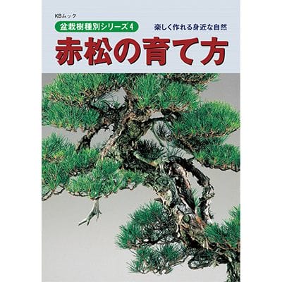 書籍】盆栽 赤松の育て方本 ブック 近代出版｜盆栽妙 – 盆栽妙 本店