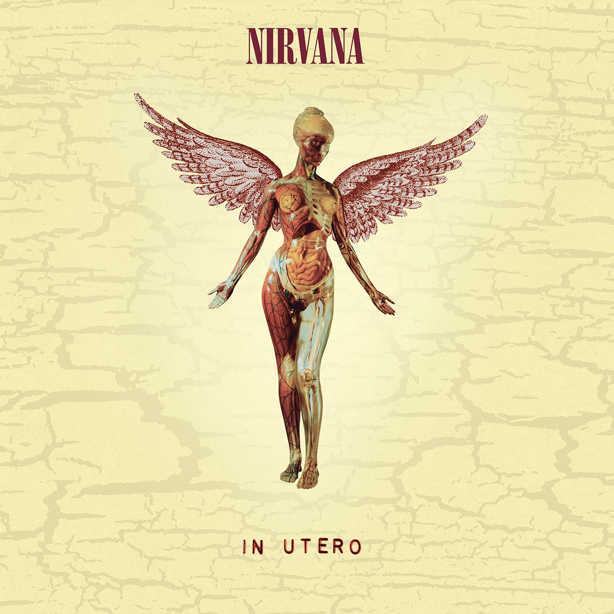 Poster Nirvana 12X12