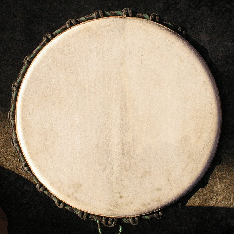 マリ製 ジャンベ DJEMBE DRUM FROM WEST AFRICA-MALI：楽器屋JUNJUN