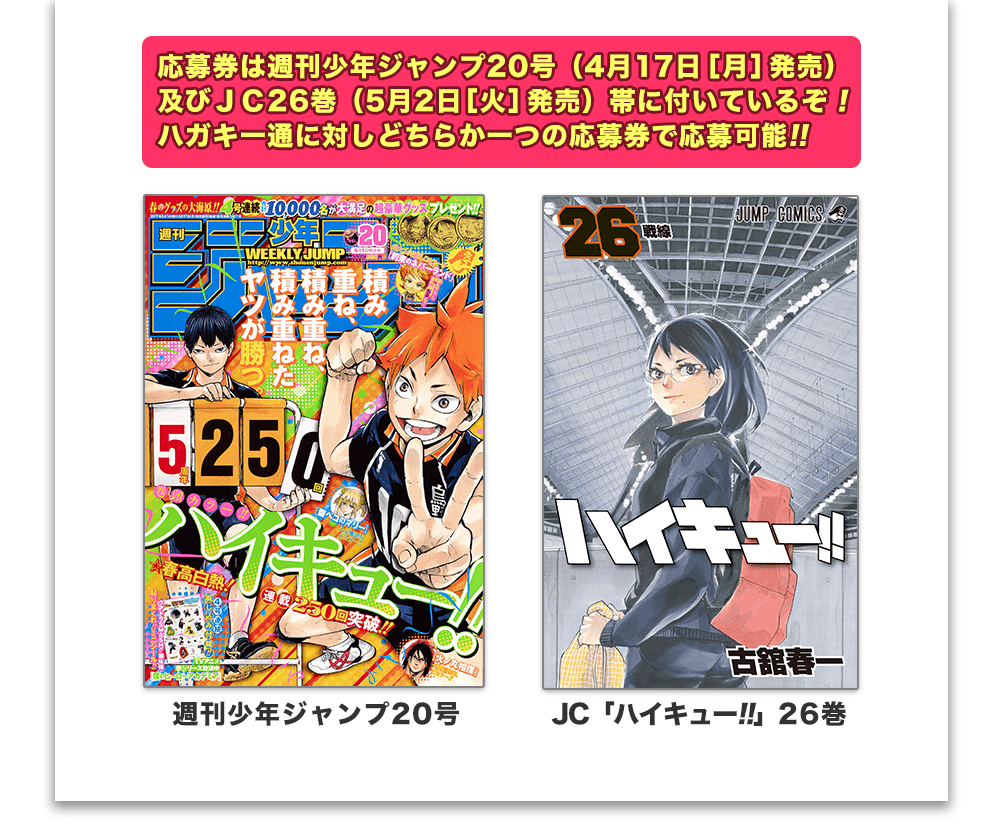 連載5周年突破記念！烏野高校春高応援プロジェクト!! | ハイキュー!!.com