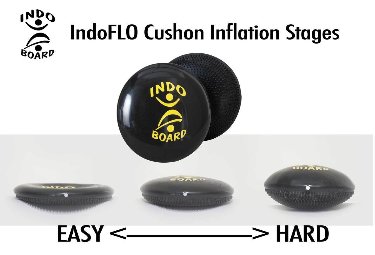 INDO BOARD（インドボード）は、 アメリカのサーフスクールの80%が導入