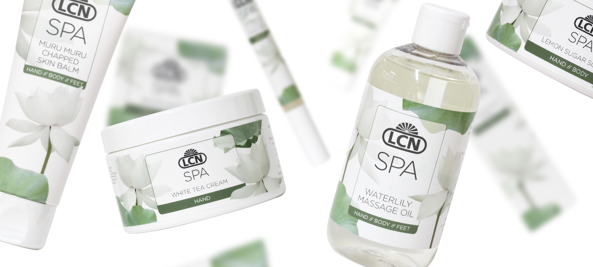 LCN JAPAN | SPA