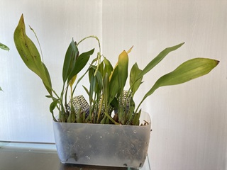 img8697r3.jpg