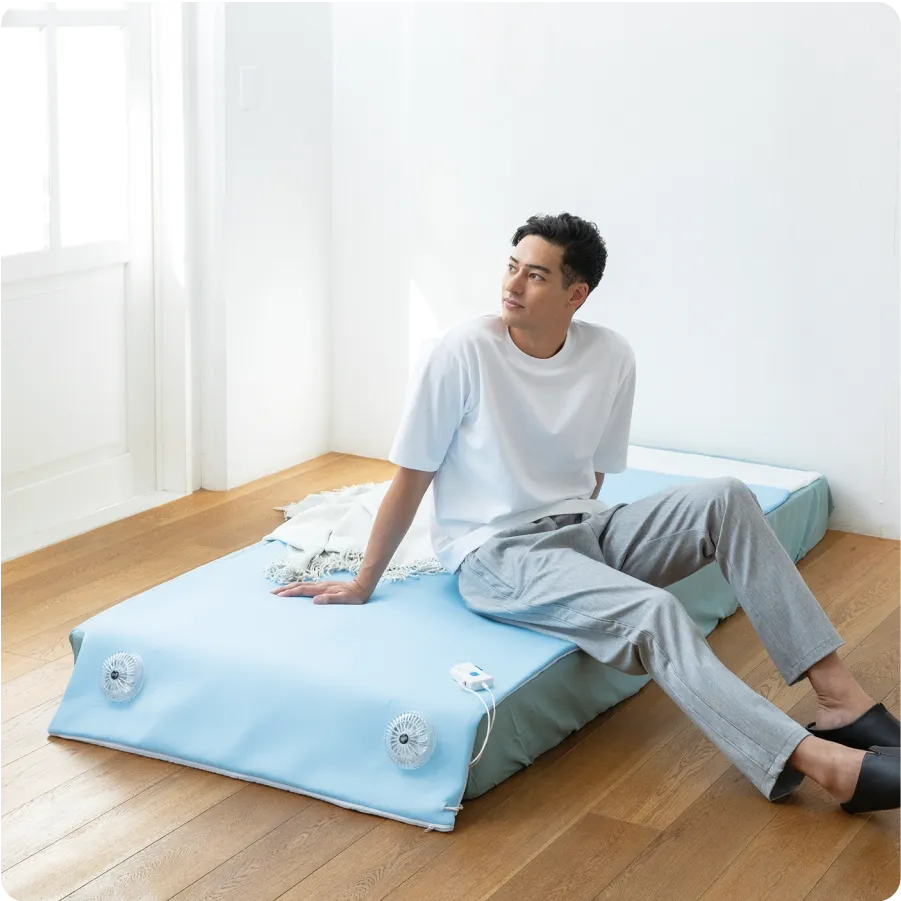 bed01_fig01.webp