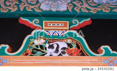 日光東照宮 左甚五郎作 眠り猫の写真素材 [34543391] - PIXTA