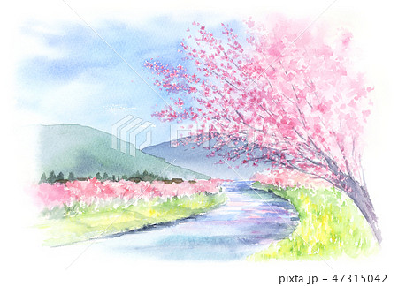 山と川と桜の木がある景色 水彩画のイラスト素材 [47315042] - PIXTA