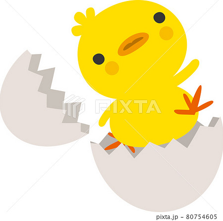 ひよこと卵の殻のイメージイラストのイラスト素材 [80754605] - PIXTA