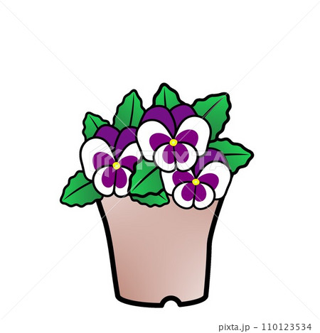植木鉢に植えられたパンジーのイラストのイラスト素材 [110123534] - PIXTA