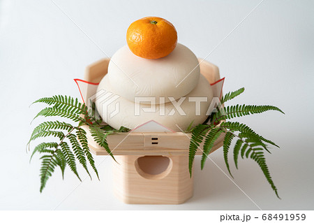 ウラジロシダの写真素材 - PIXTA