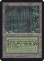 Bayou - Alpha Edition - Magic: The Gathering - TCGplayer.com