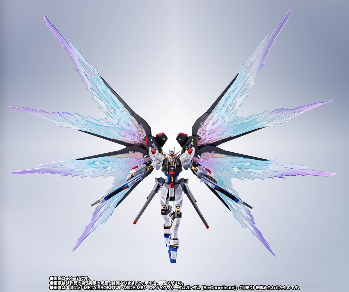 ストライクフリーダムガンダム FESTIVAL 2004 光の翼 METAL BUILD ストライクフリーダムガンダム 光の翼オプションセット