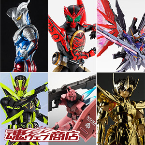 METAL BUILD 【抽選販売】デスティニーガンダム SOUL RED Ver. | 魂ウェブ
