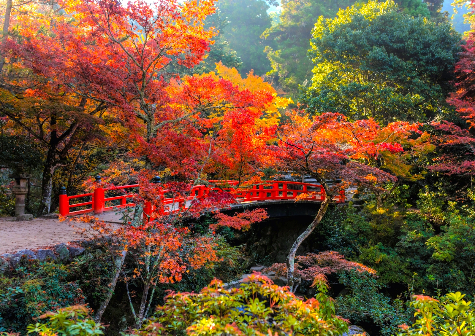 紅葉谷公園 | ニッポン旅マガジン