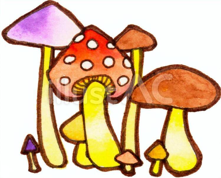 アリスのきのこイラスト - No: 1748560｜無料イラスト・フリー素材なら