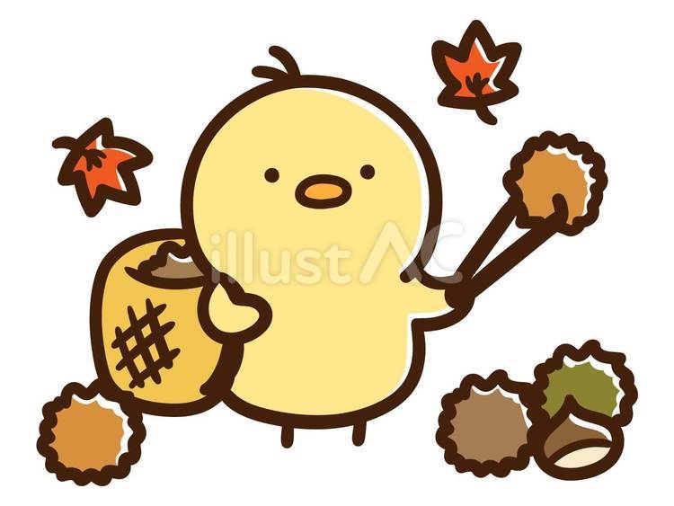 秋の栗拾いを楽しむかわいいひよこイラスト - No: 24299607｜無料