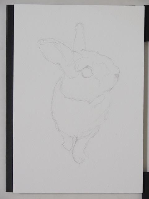 カラーでうさぎさんを描きました。｜木彫りうさぎのパパ。ティムのブログ
