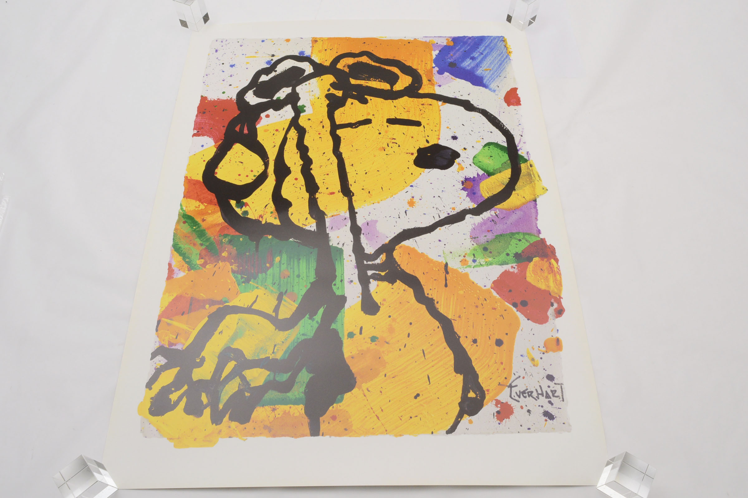 トム・エバハート（Tom Everhart）の魅力を徹底解説 ─ ヨーロッパ