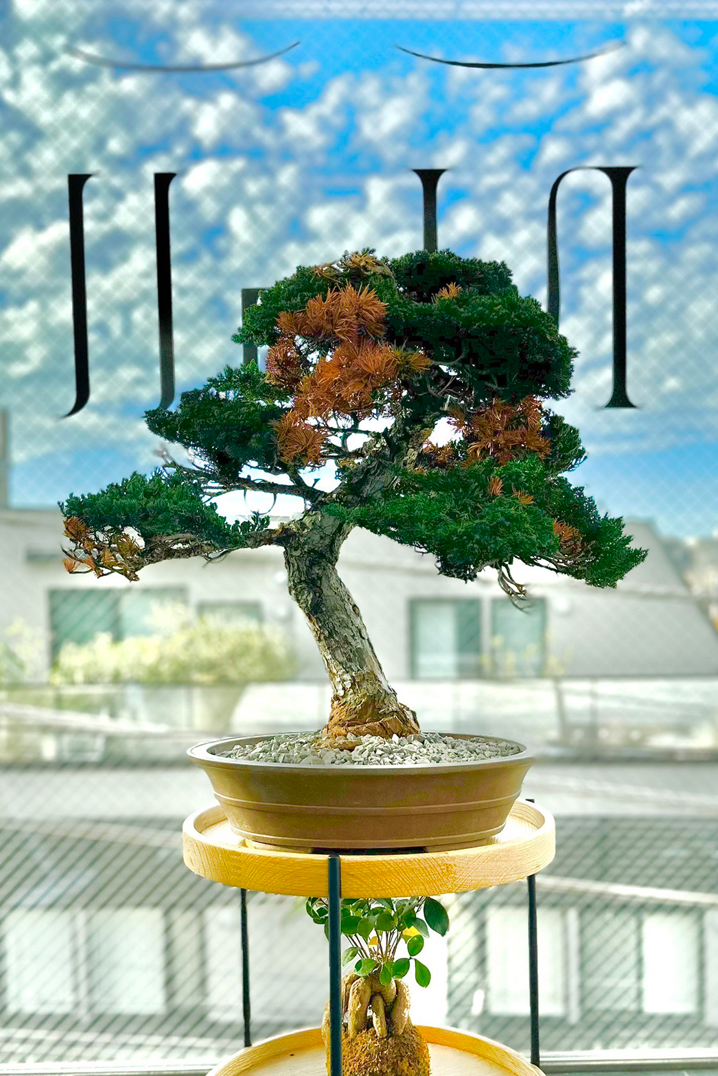 RE 盆栽™ のTOUFU株式会社
