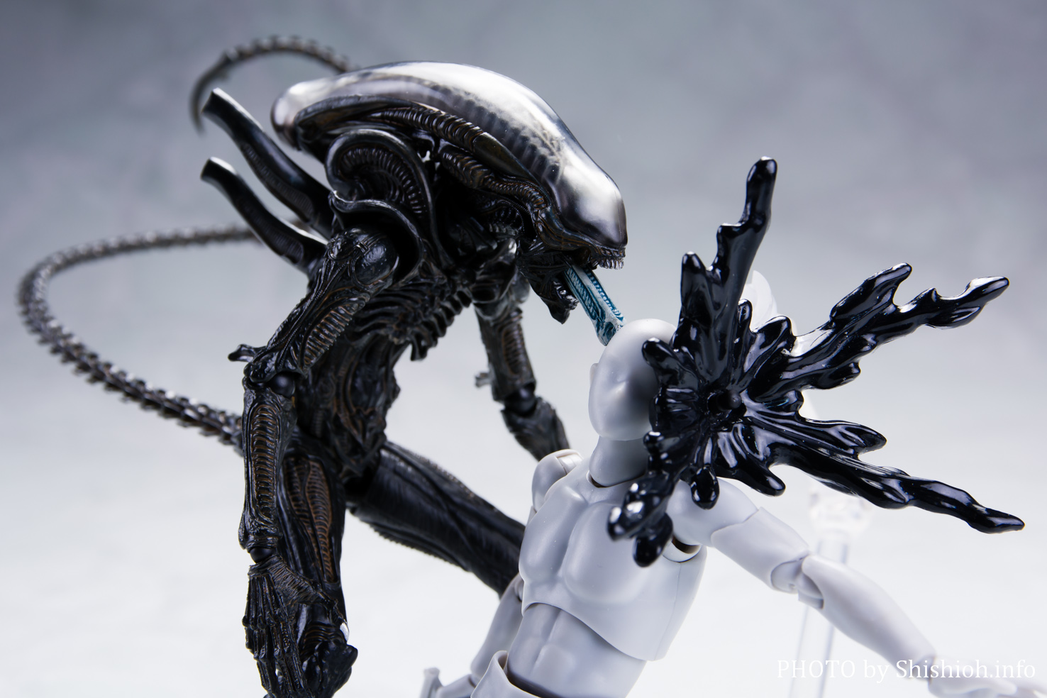 フューチャーモデルズALIEN 竹谷隆之 ビッグ エイリアン フューチャー