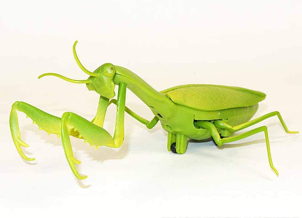 楽天市場】カマキリ 赤外線 RC リモコン 操作 ラジコン 昆虫 電池 付属