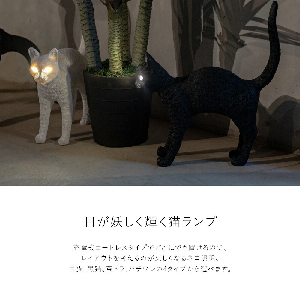 楽天市場】【楽天マラソン限定クーポン配布中】【じゅん散歩で紹介】猫