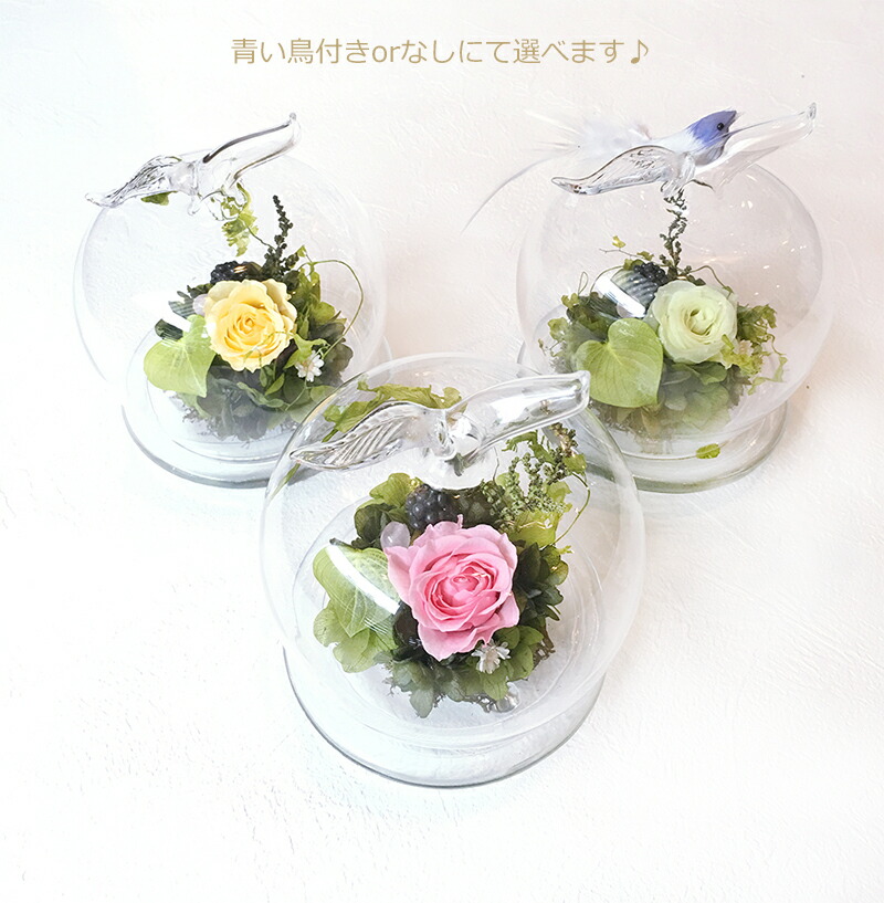 楽天市場】「アップルドーム」 プリザーブドフラワー 誕生日 結婚祝い
