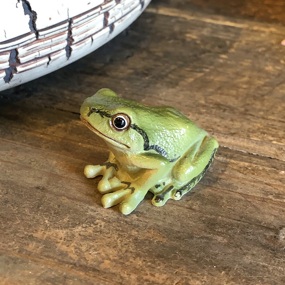 楽天市場】アマガエル リアル カエル 蛙 オブジェ 置物 マグネット