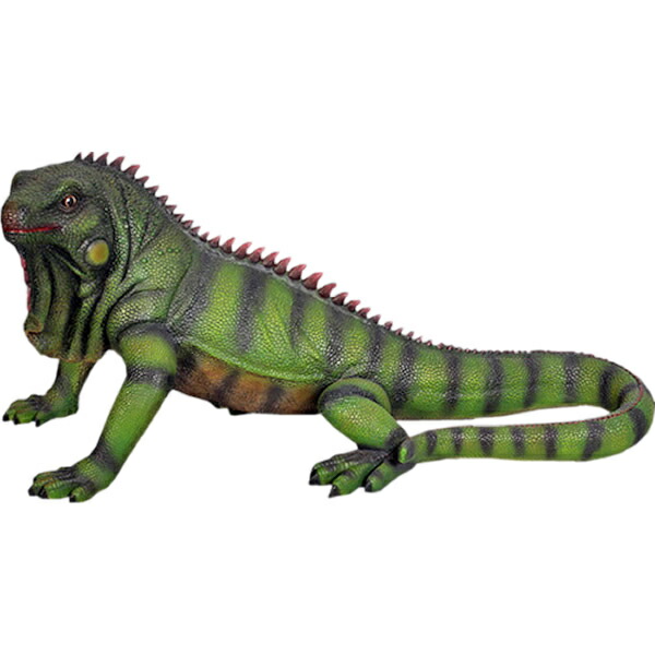 楽天市場】FRPアニマルオブジェ イグアナ（大） Iguana リアル 爬虫類