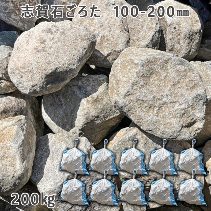 sgo_100_200_10_01.jpg