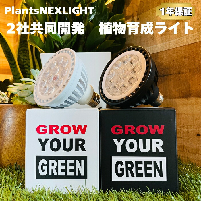 楽天市場】PlantsNEXLIGHT 植物育成ライト 観葉植物 多肉植物 LED照明