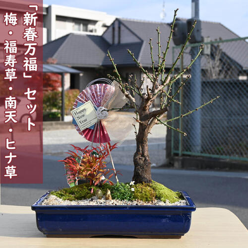 imgrc0098866364.jpg