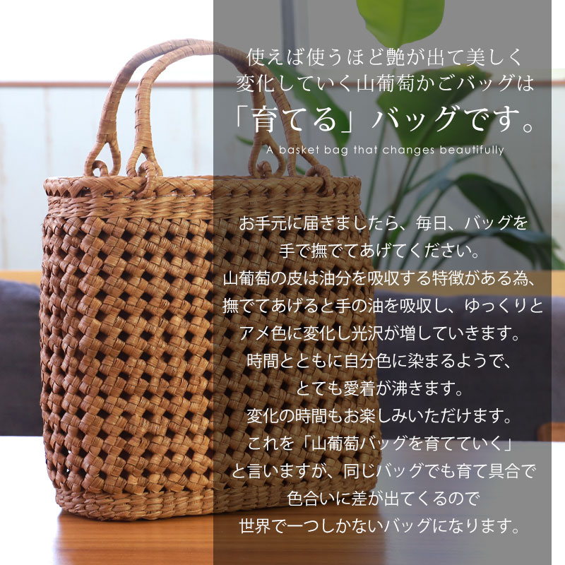 楽天市場】＼半額／【50％OFF】【さらに5％クーポン配布中 23日まで
