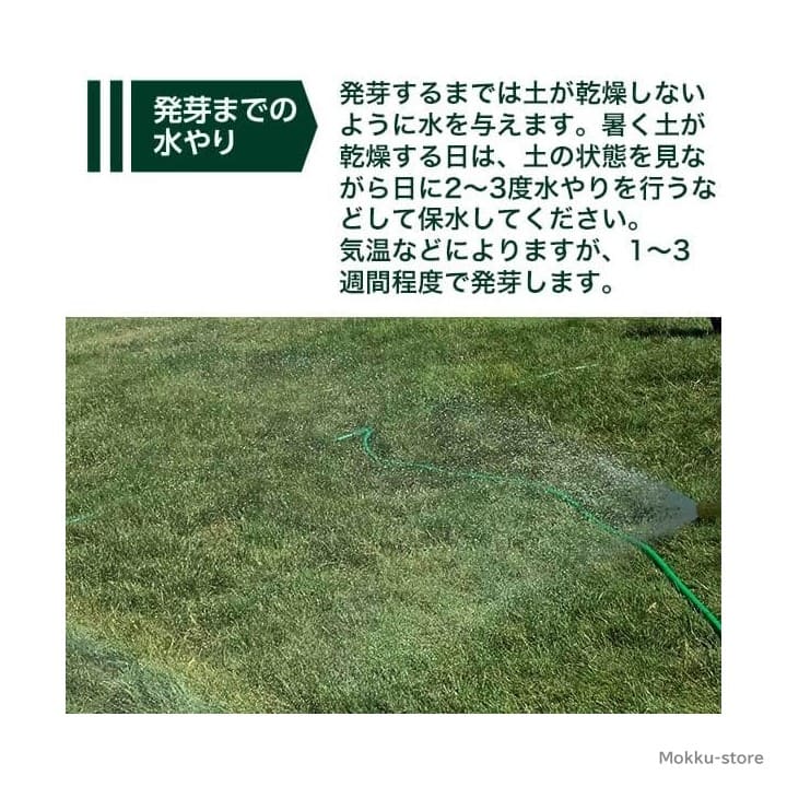 楽天市場】西洋芝 種 芝生 種 30平米 9坪分 1.5L 日本の気候に適した